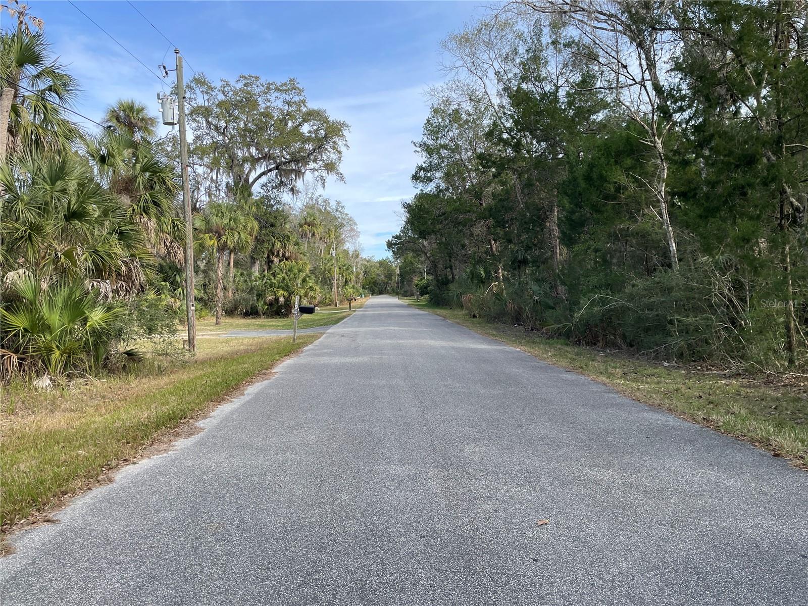 11106 W TOWNSEND LN, HOMOSASSA, FL — photo 2