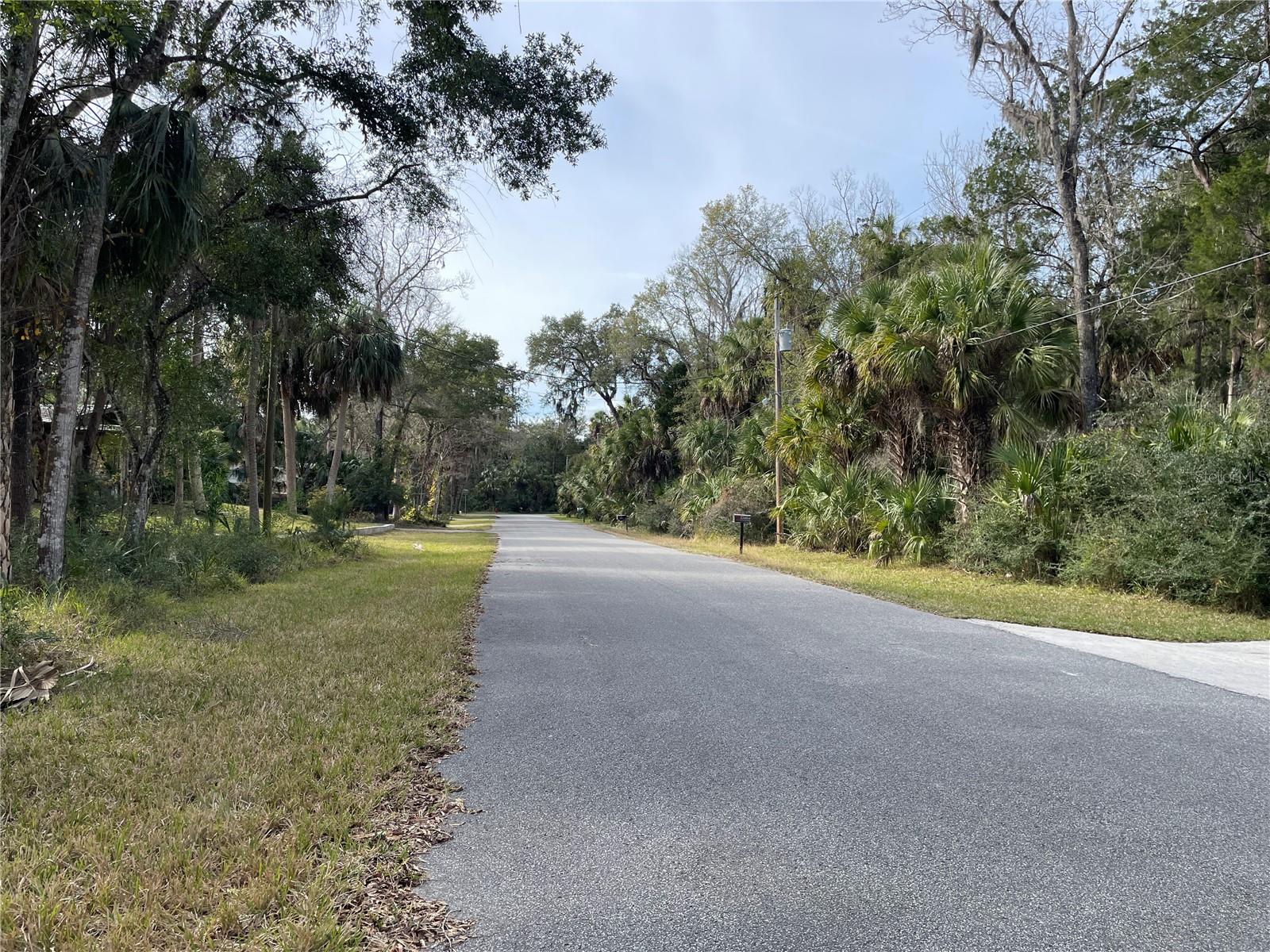 11106 W TOWNSEND LN, HOMOSASSA, FL — photo 4