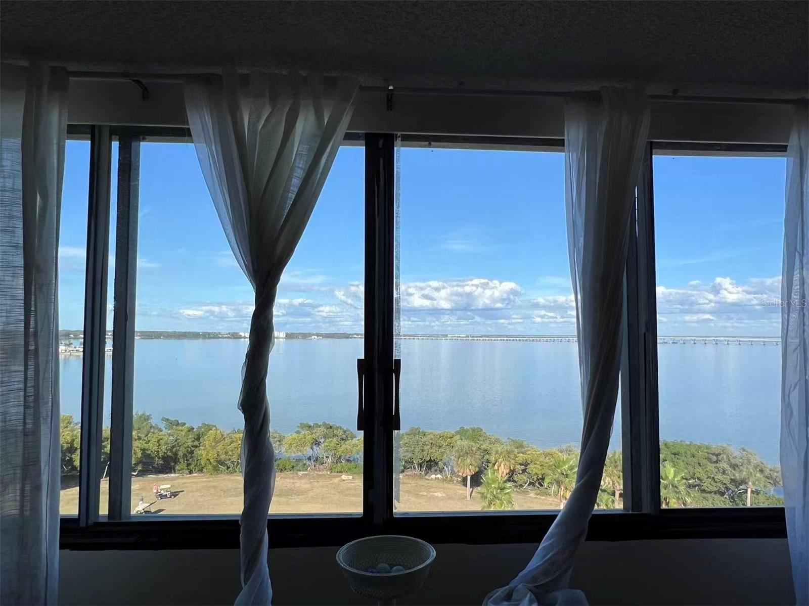 2618 COVE CAY DR #909, CLEARWATER, FL — photo 3