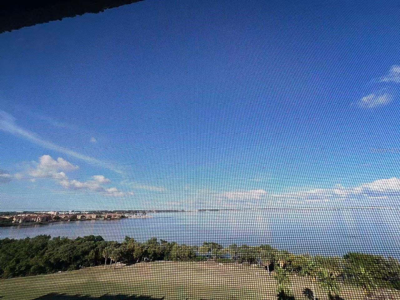 2618 COVE CAY DR #909, CLEARWATER, FL — photo 15