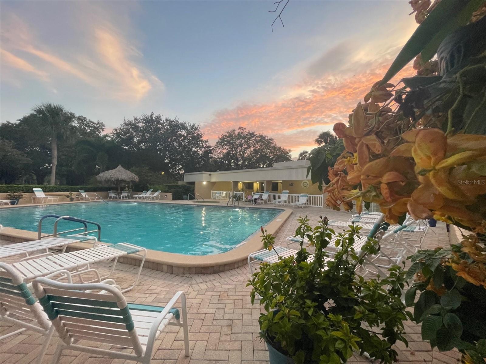 2618 COVE CAY DR #909, CLEARWATER, FL — photo 16