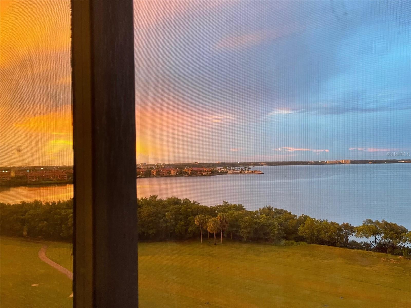 2618 COVE CAY DR #909, CLEARWATER, FL — photo 18