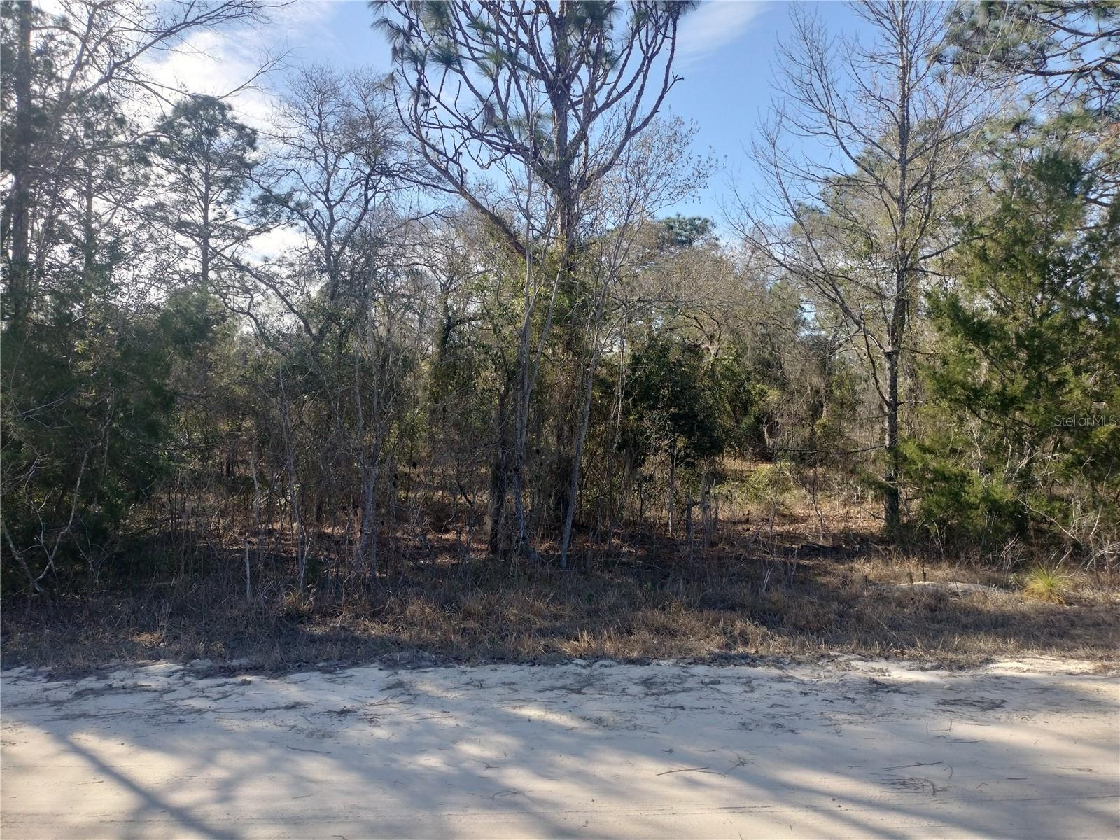 SE 137TH CT, MORRISTON, FL