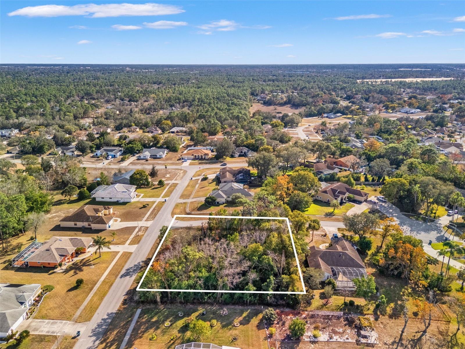 SEBASTIAN DR, SPRING HILL, FL — photo 7