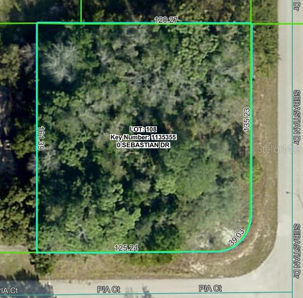 SEBASTIAN DR, SPRING HILL, FL — photo 11