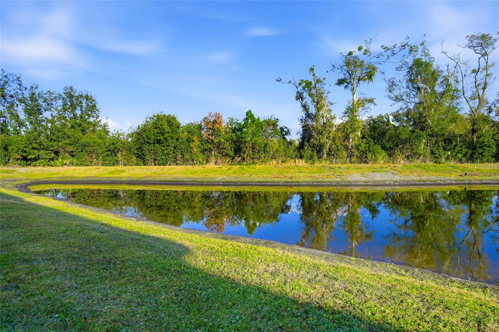 1370 WHITE FOX RUN, LUTZ, FL — photo 37