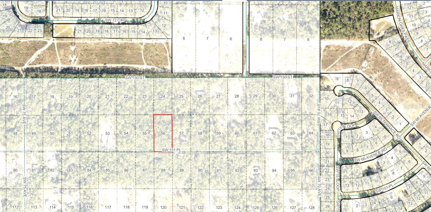 SW 151ST PL, DUNNELLON, FL