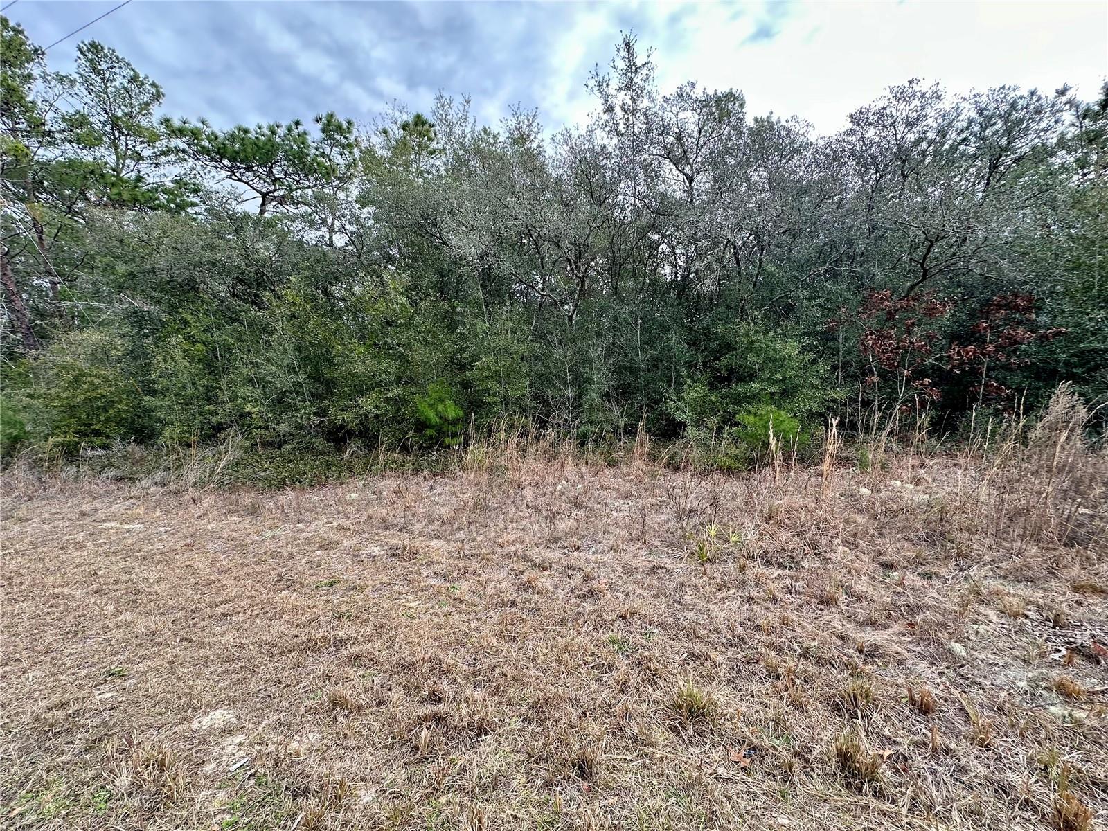 7891 N DARBY DR, CITRUS SPRINGS, FL — photo 4