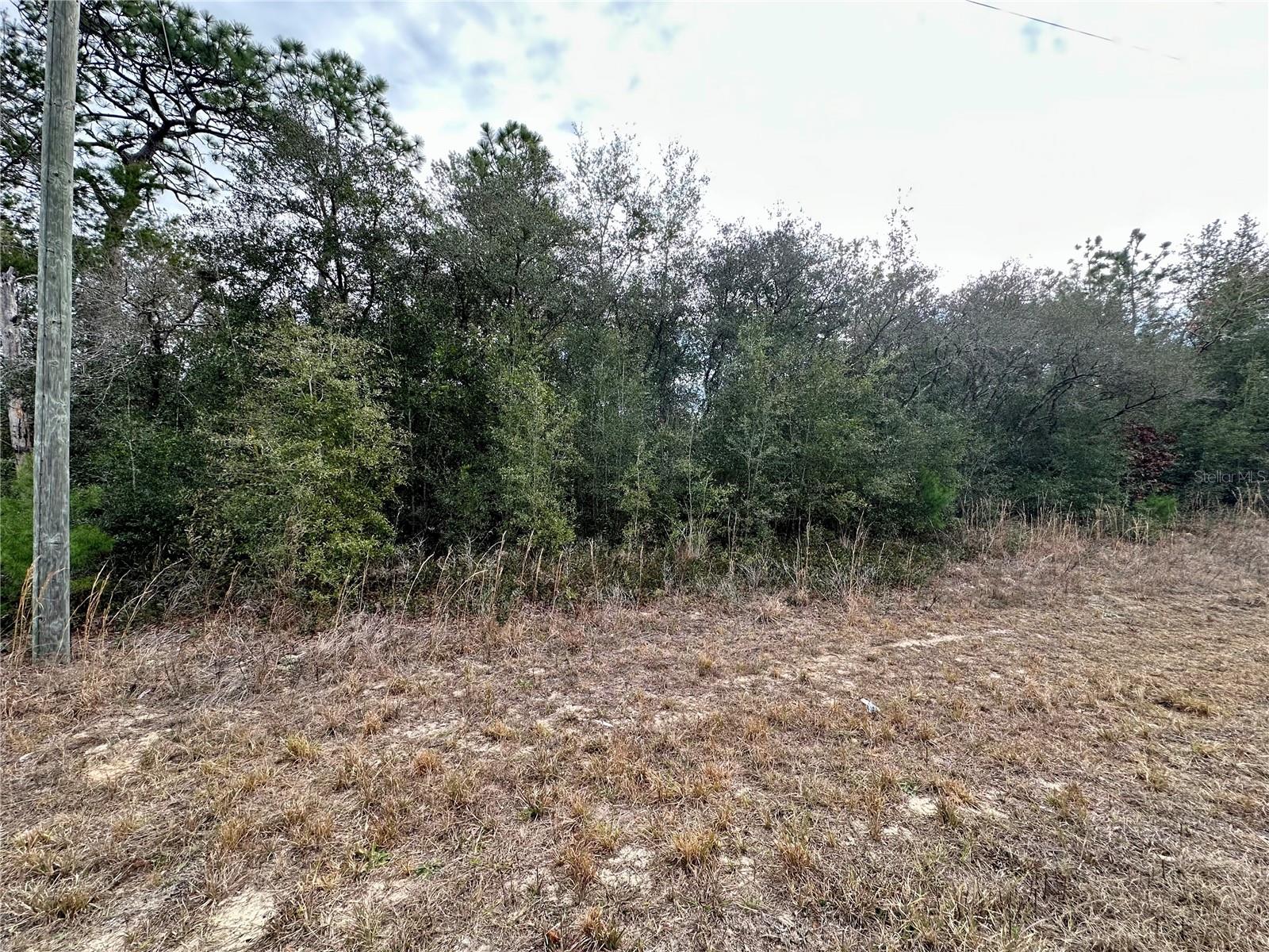 7891 N DARBY DR, CITRUS SPRINGS, FL — photo 5