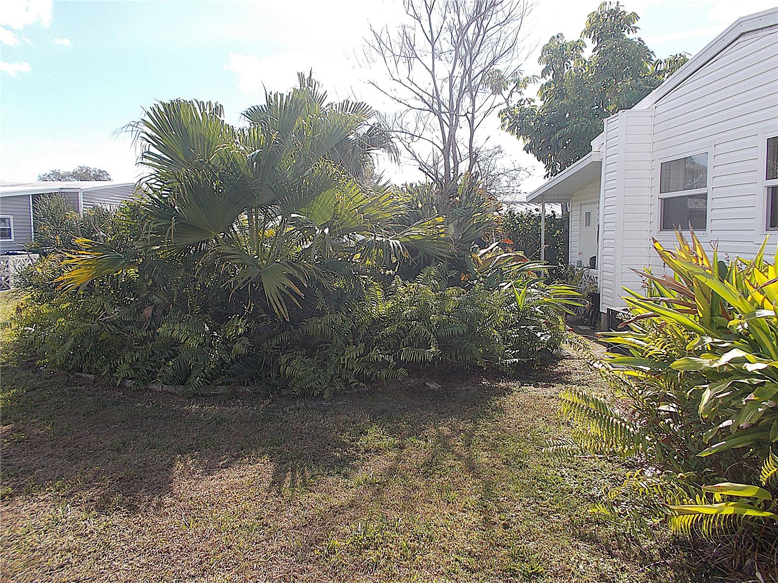 467 BOXWOOD DR, VENICE, FL — photo 31