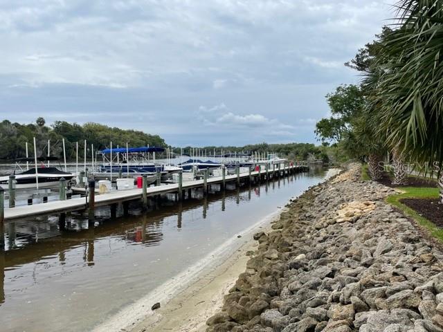 100 CANOPY WALK LN #124, PALM COAST, FL — photo 46
