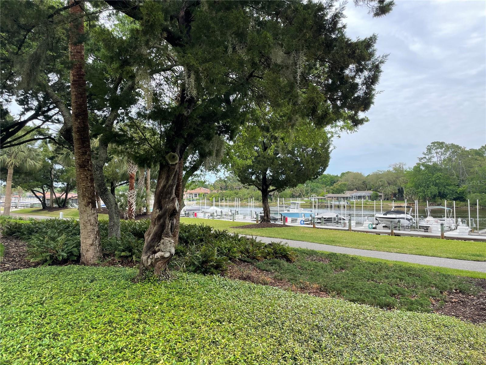 100 CANOPY WALK LN #124, PALM COAST, FL — photo 48