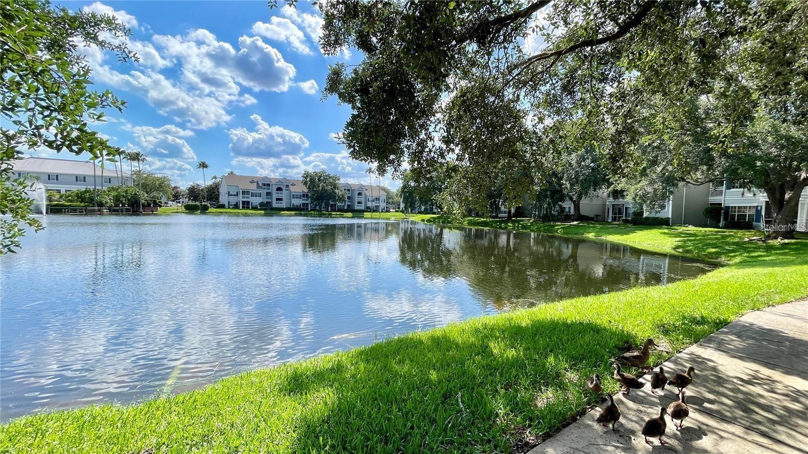 2314 MIDTOWN TER #1125, ORLANDO, FL — photo 19
