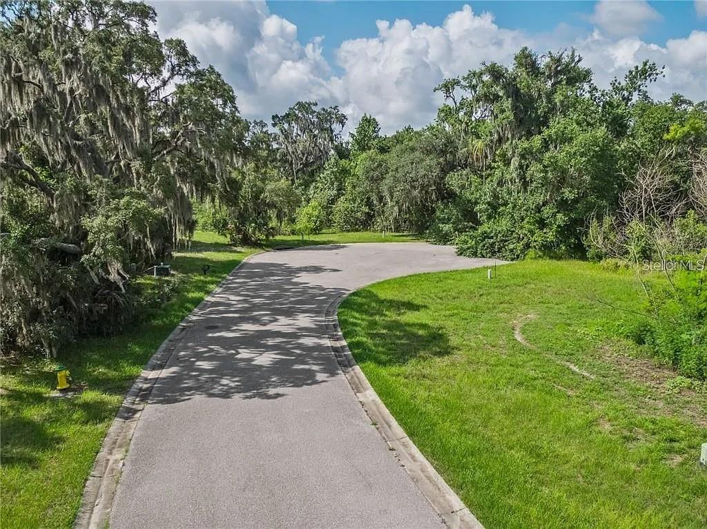 8353 ALAFIA POINTE DR, RIVERVIEW, FL — photo 3