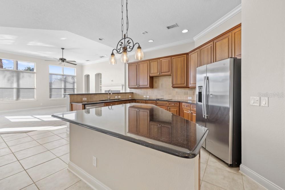 25515 HAWKS RUN LN, SORRENTO, FL — photo 9