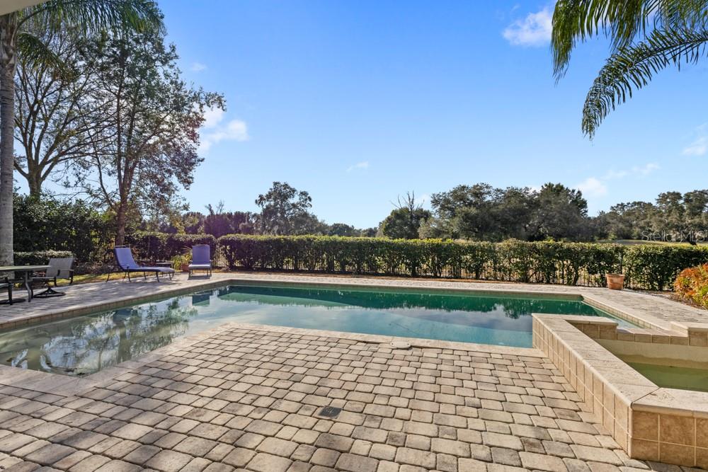 25515 HAWKS RUN LN, SORRENTO, FL — photo 98