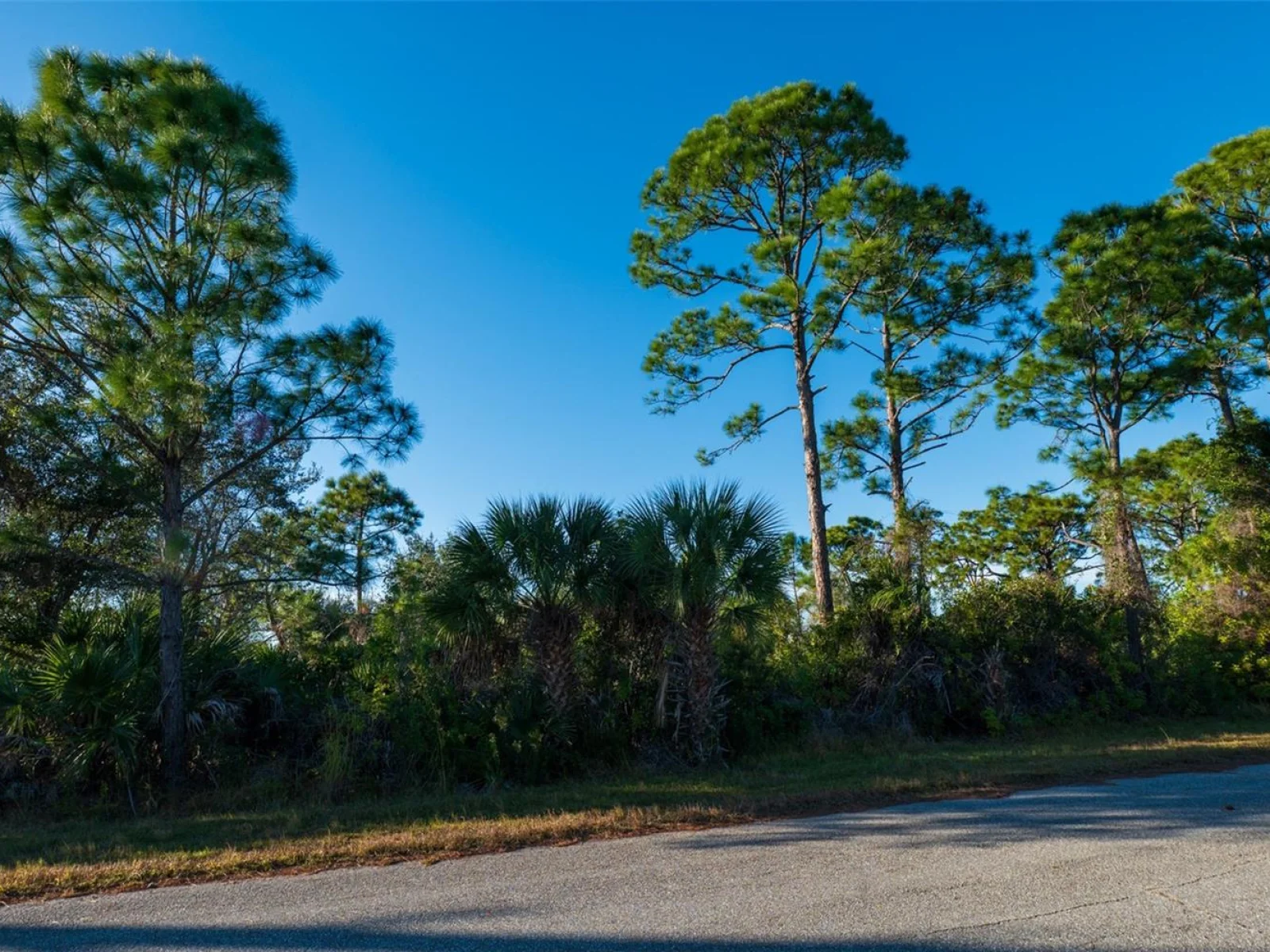 8281 DIMSTEAD ST., PORT CHARLOTTE, FL — photo 4
