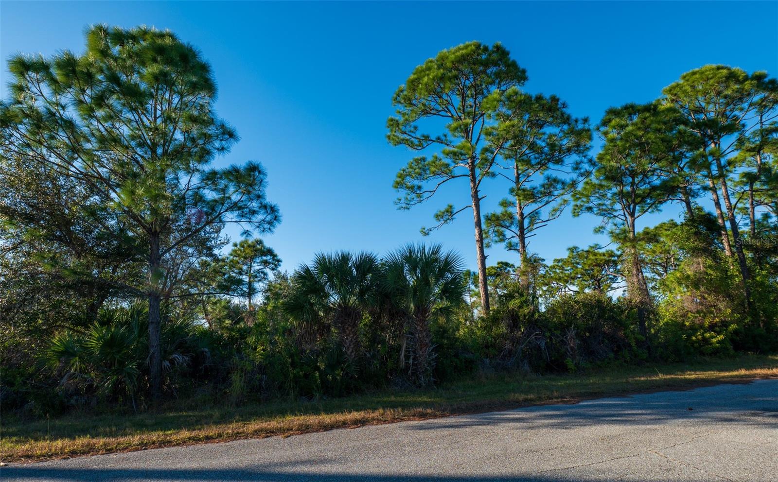 8281 DIMSTEAD ST., PORT CHARLOTTE, FL — photo 3