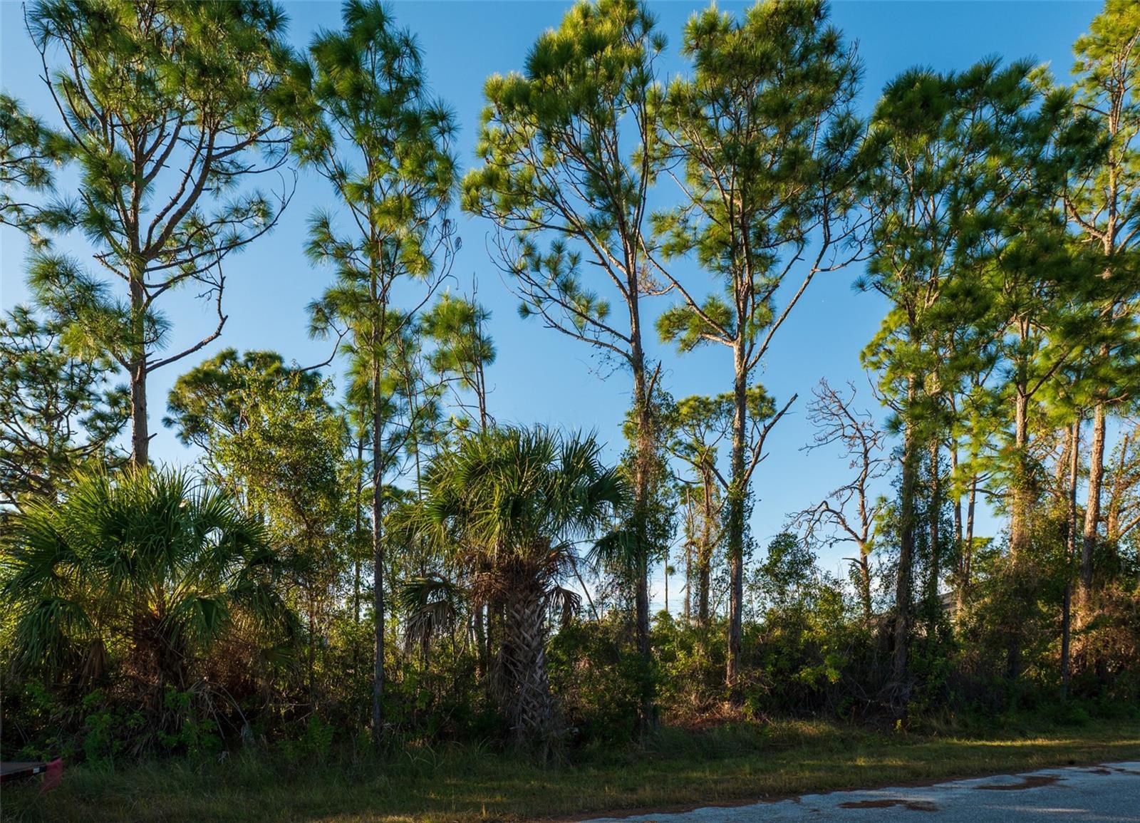 8281 DIMSTEAD ST., PORT CHARLOTTE, FL — photo 5
