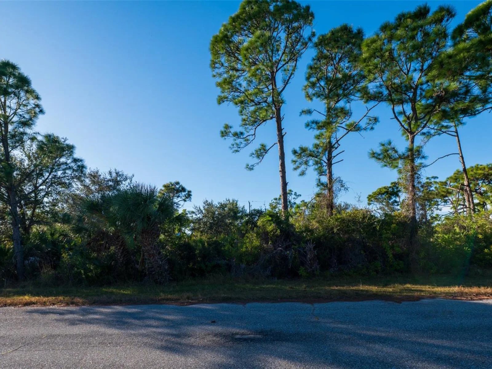 8281 DIMSTEAD ST., PORT CHARLOTTE, FL — photo 7