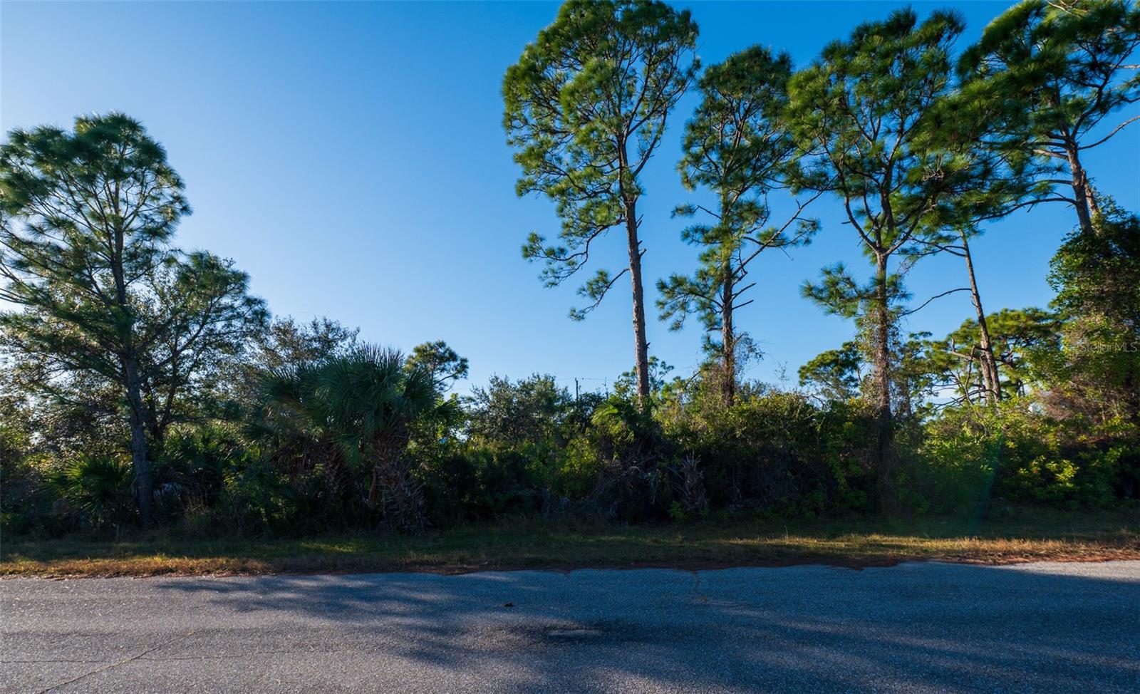 8281 DIMSTEAD ST., PORT CHARLOTTE, FL — photo 8
