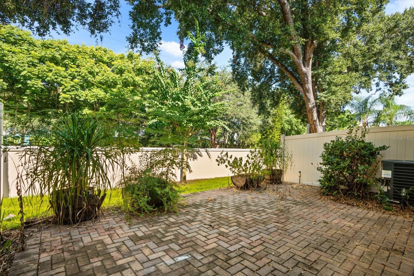 900 WALKERS GROVE LN, WINTER GARDEN, FL — photo 27