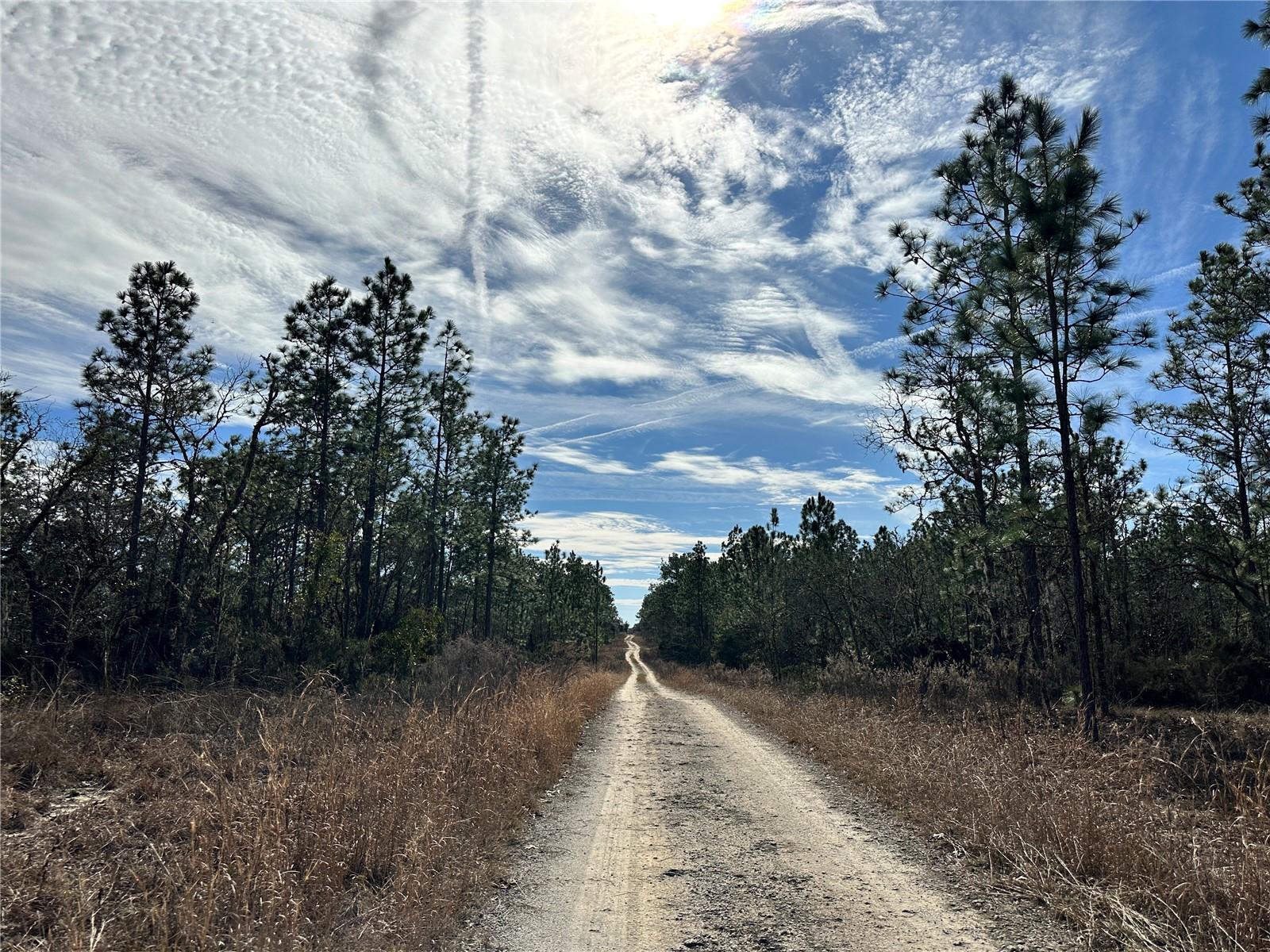 TBD NE 150TH CT, WILLISTON, FL — photo 4