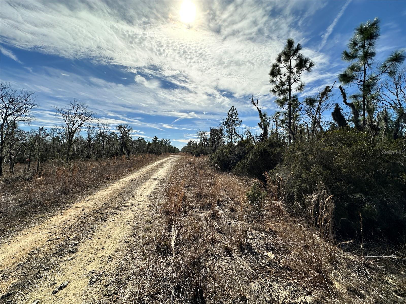 TBD NE 16TH LN, WILLISTON, FL — photo 8