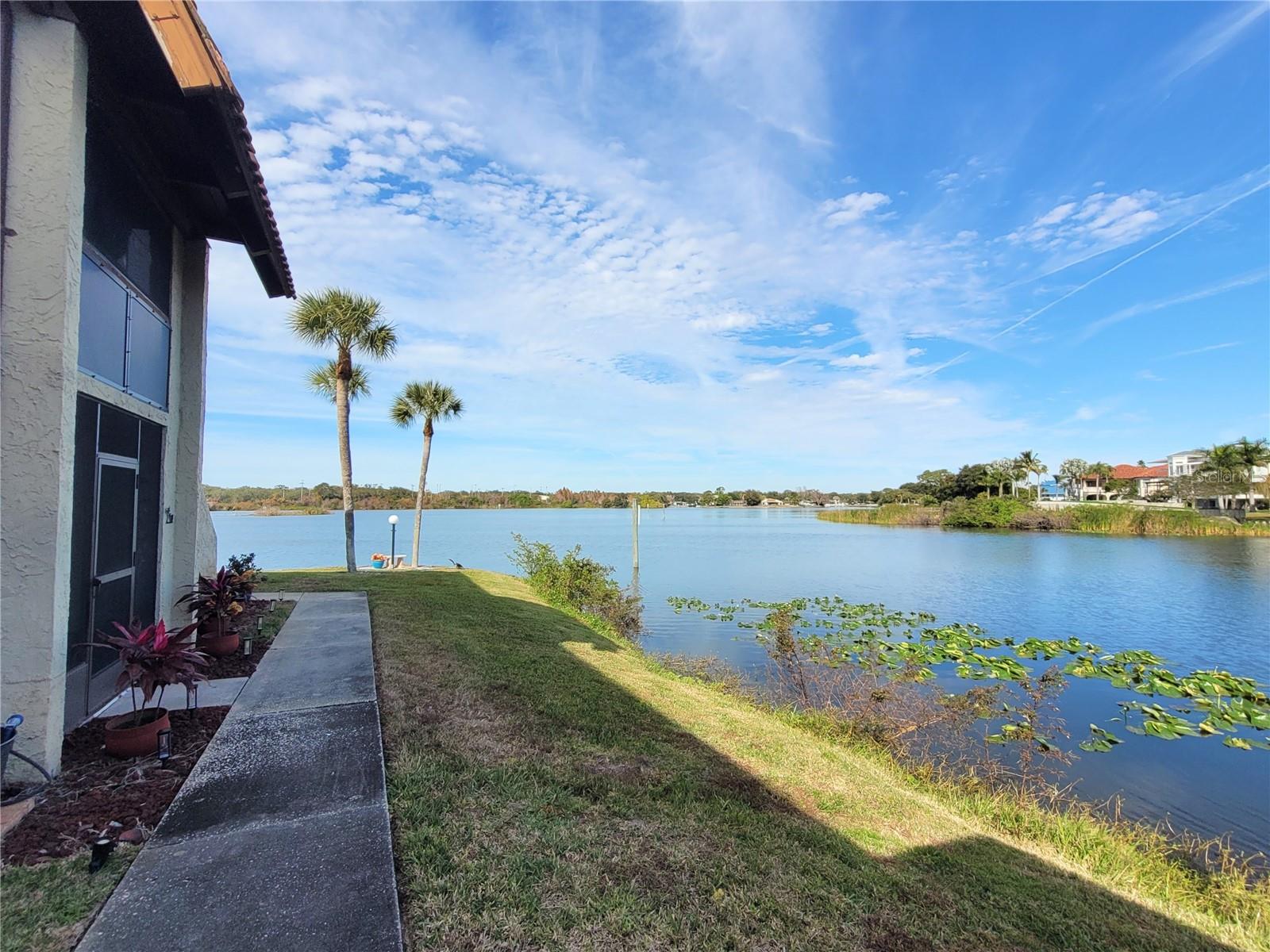 1005 S BAYSHORE BLVD #102, SAFETY HARBOR, FL — photo 23