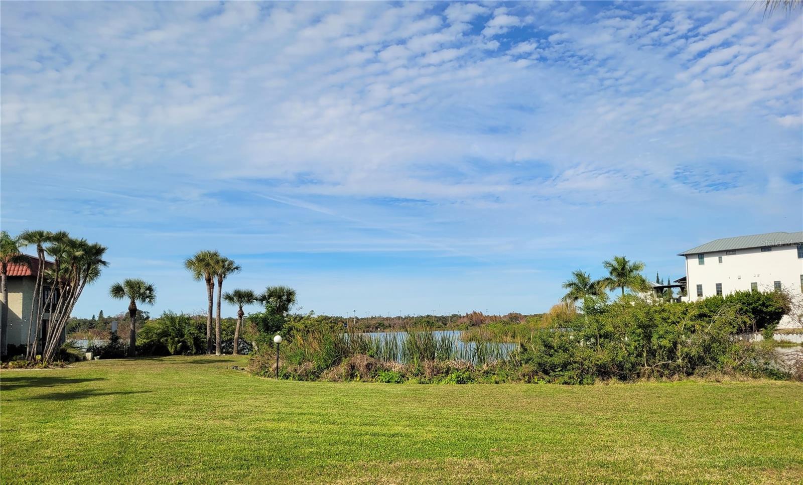 1005 S BAYSHORE BLVD #102, SAFETY HARBOR, FL — photo 25