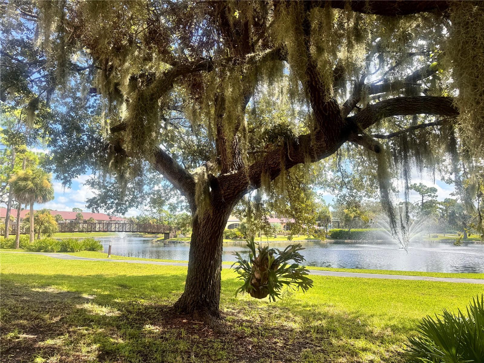 23465 HARBORVIEW RD #201, PUNTA GORDA, FL — photo 38