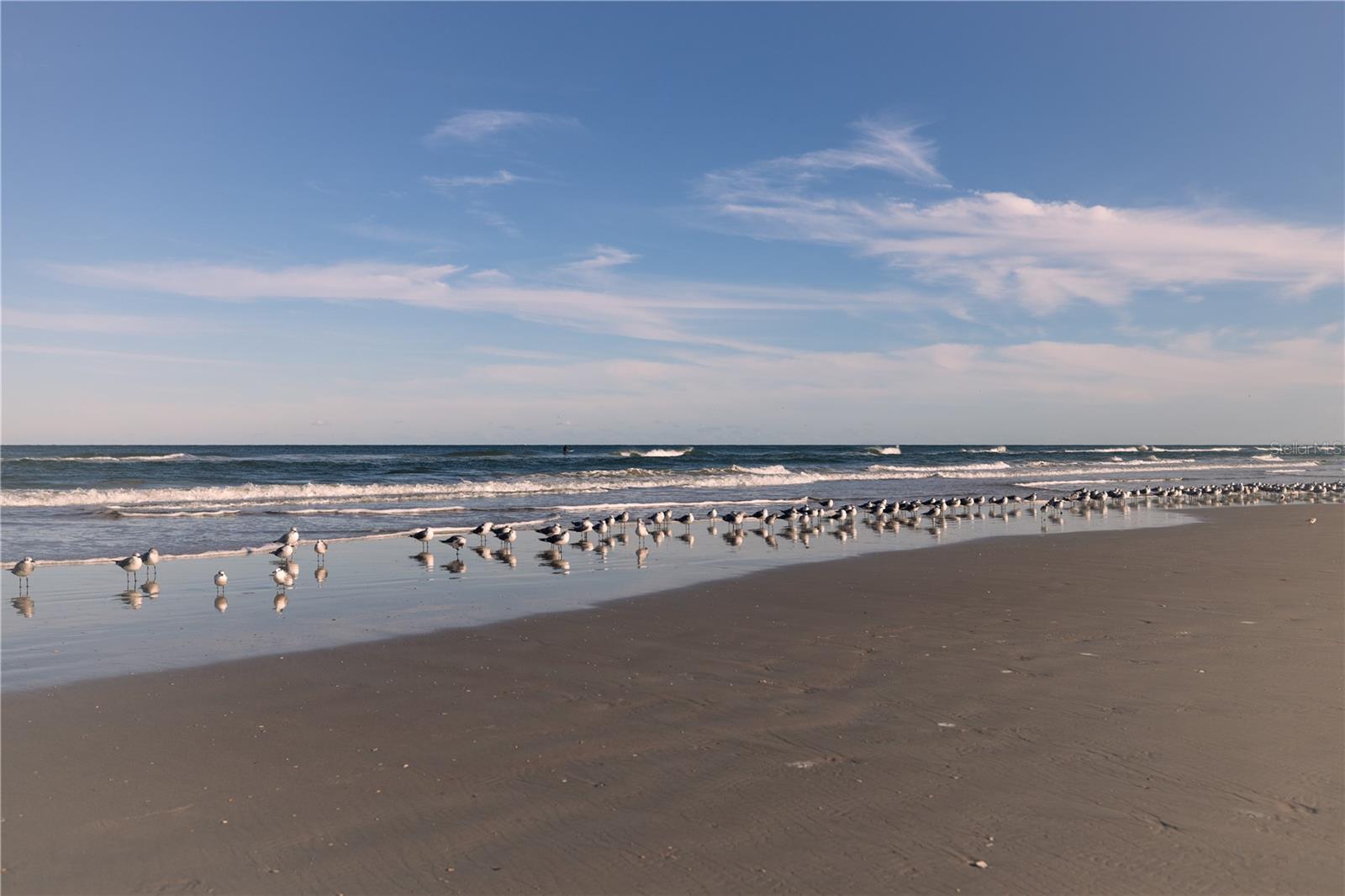 3801 S ATLANTIC AVE #UT204, NEW SMYRNA BEACH, FL — photo 26