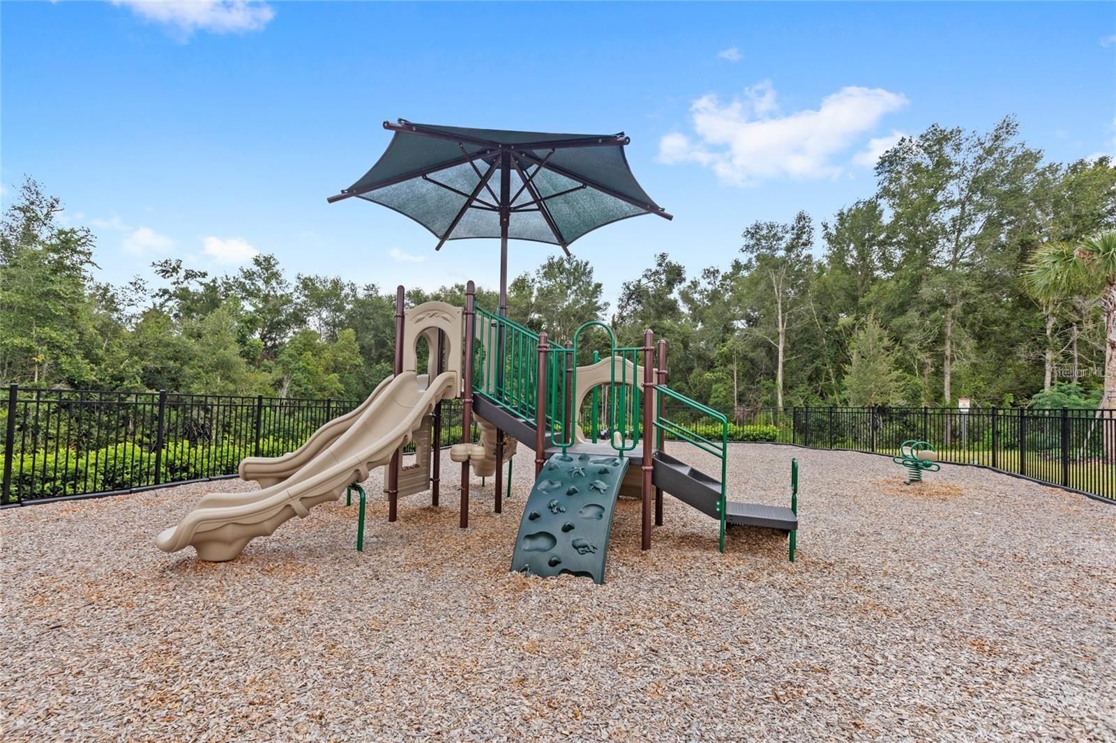 5129 RISING RIDGE DR, MOUNT DORA, FL — photo 9