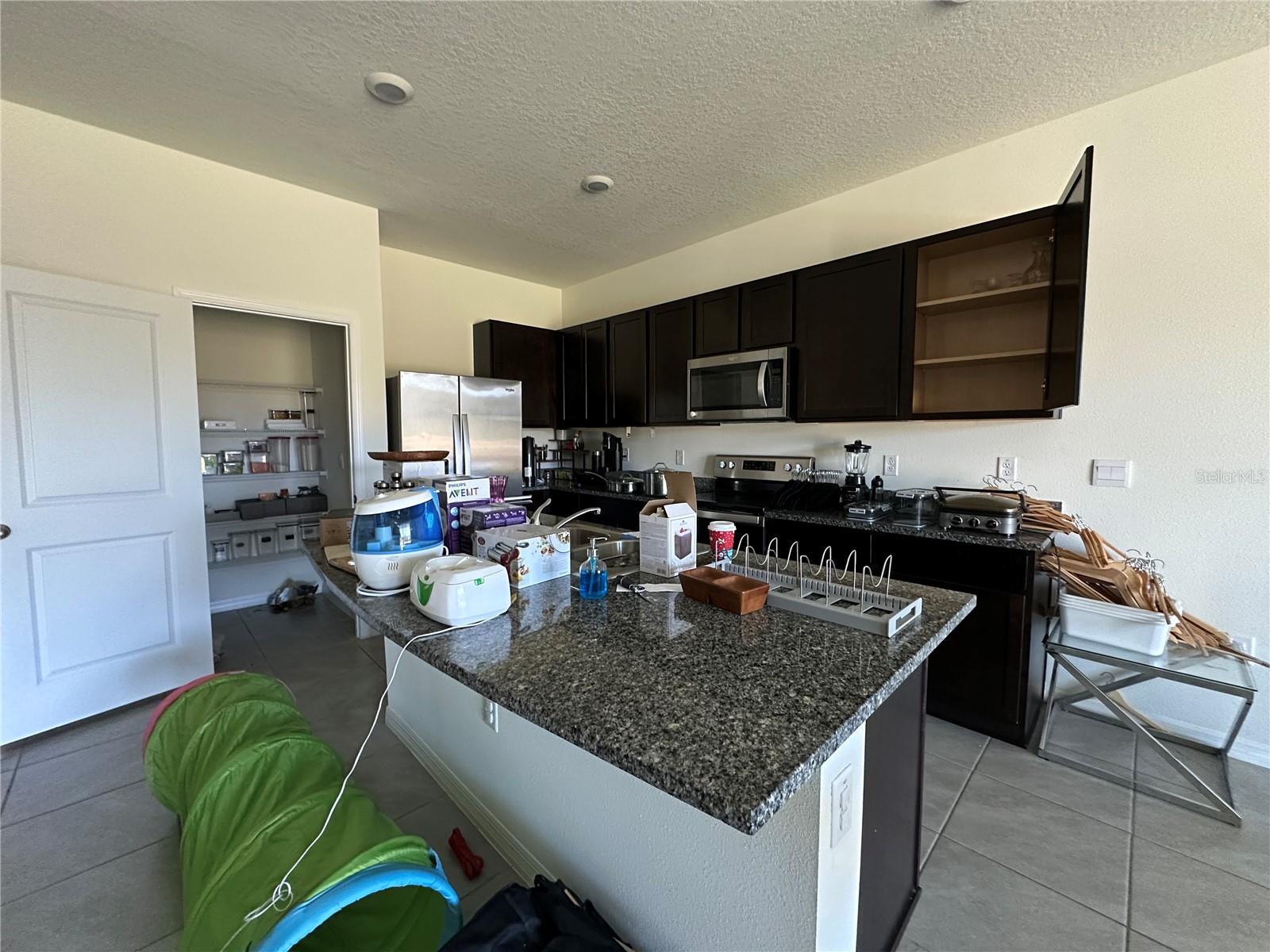 16641 GROTTO STEAM PL, WIMAUMA, FL — photo 4