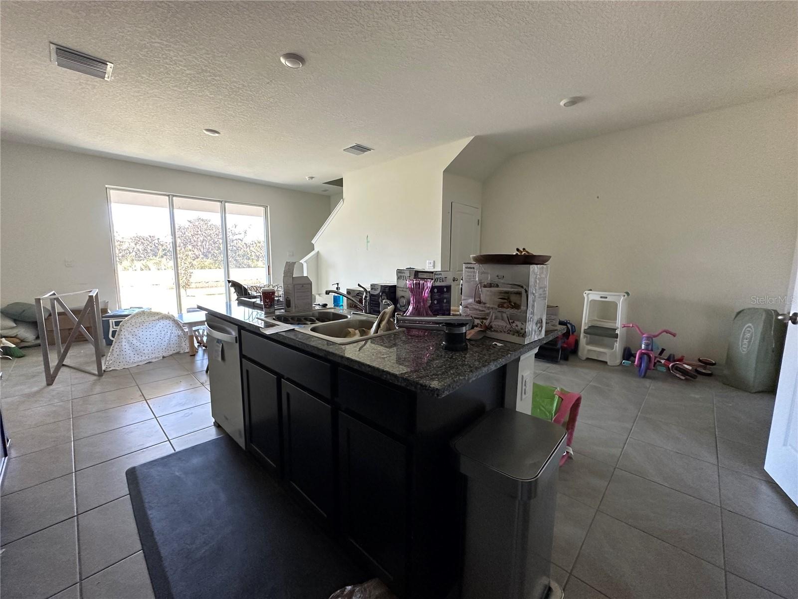 16641 GROTTO STEAM PL, WIMAUMA, FL — photo 6