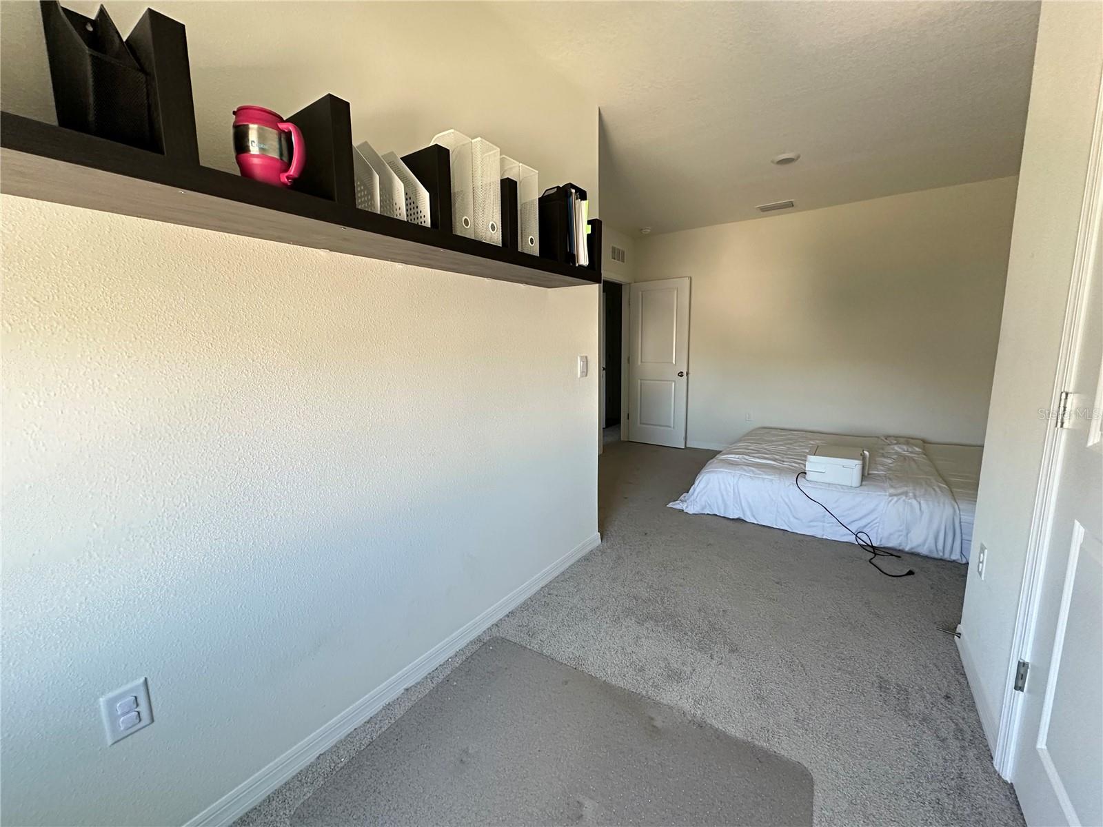 16641 GROTTO STEAM PL, WIMAUMA, FL — photo 16