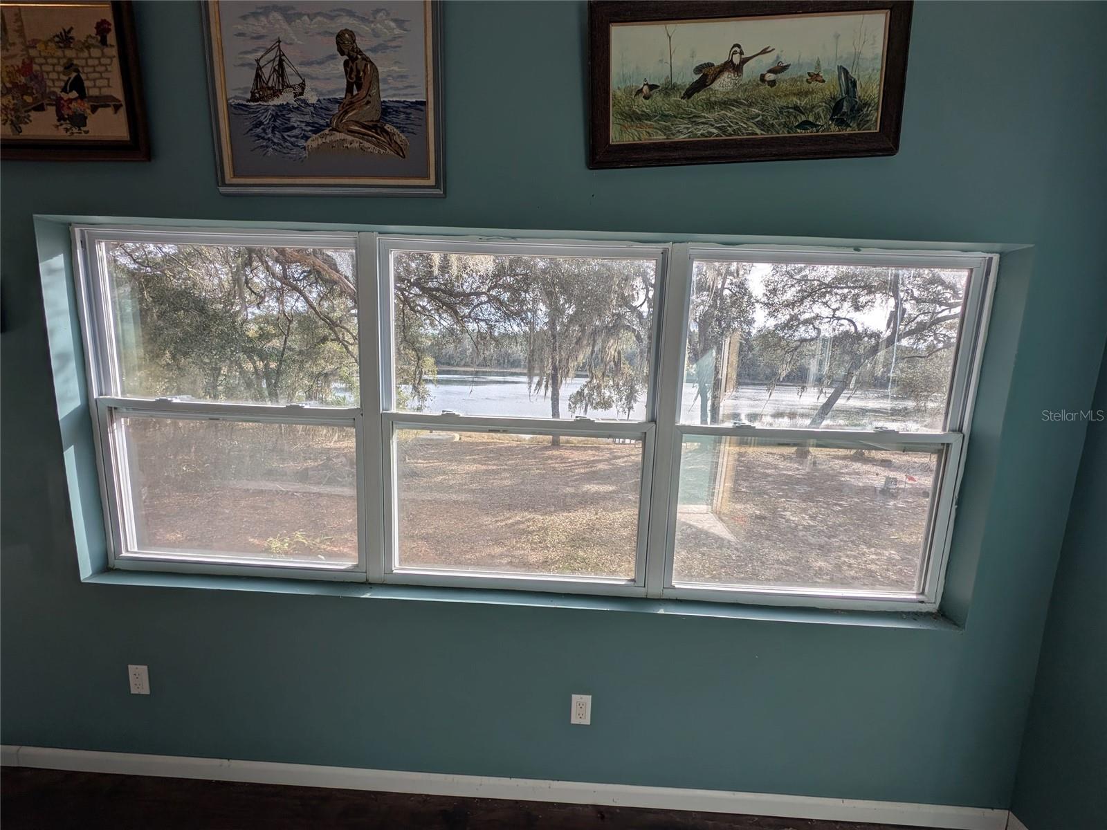 14730 SE 61ST STREET RD, OCKLAWAHA, FL — photo 42