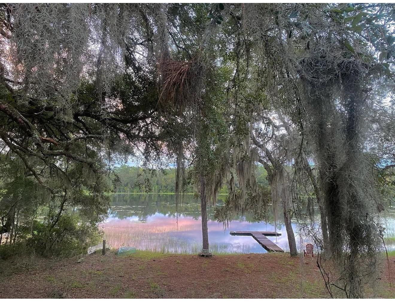 14730 SE 61ST STREET RD, OCKLAWAHA, FL — photo 67