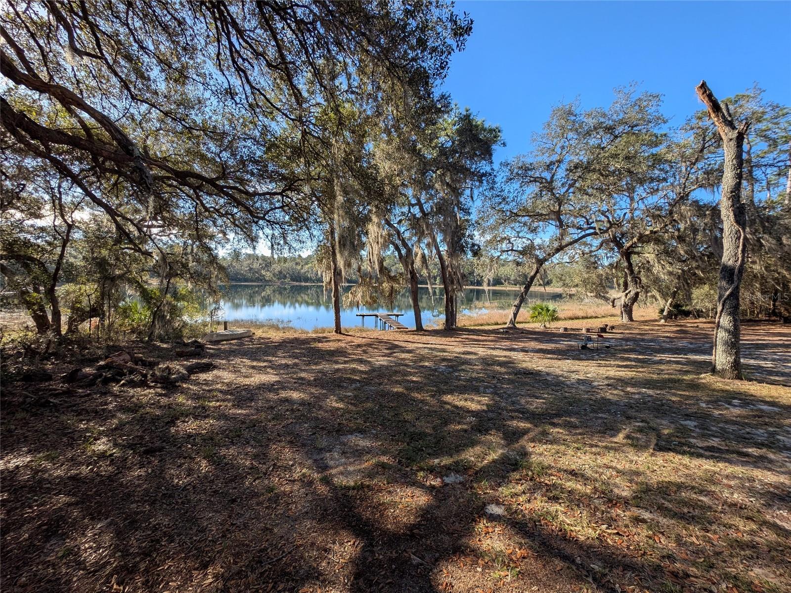 14730 SE 61ST STREET RD, OCKLAWAHA, FL — photo 74