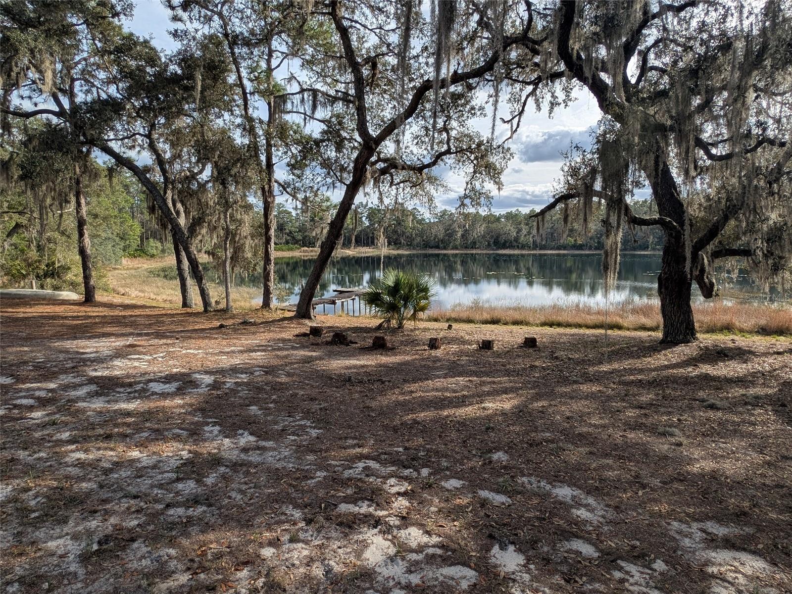 14730 SE 61ST STREET RD, OCKLAWAHA, FL — photo 78