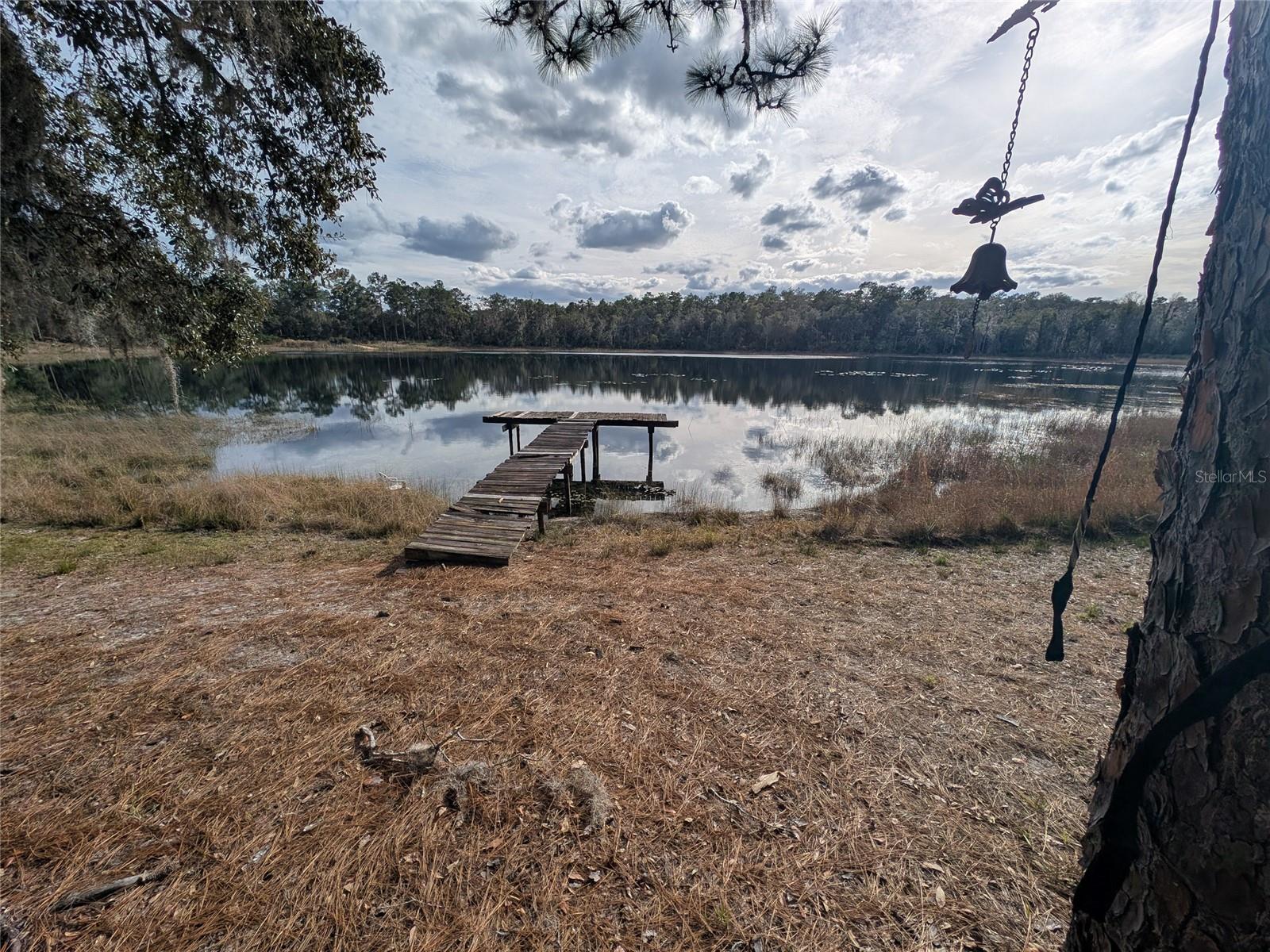 14730 SE 61ST STREET RD, OCKLAWAHA, FL — photo 80
