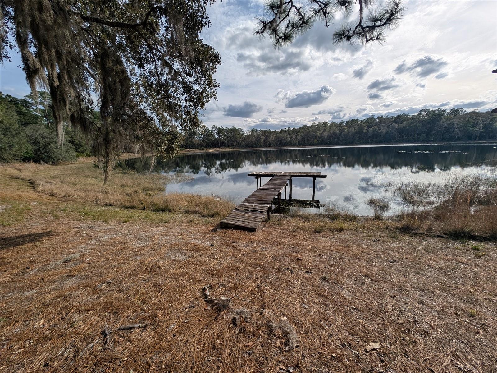14730 SE 61ST STREET RD, OCKLAWAHA, FL — photo 82