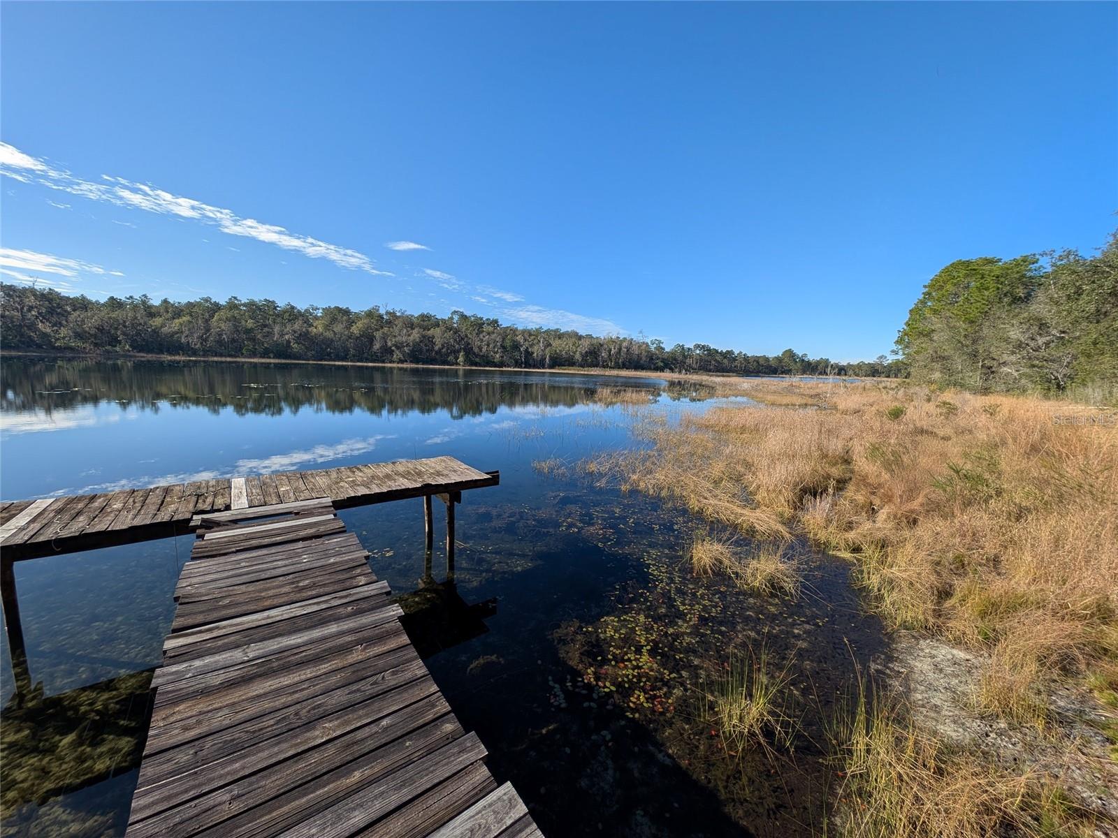14730 SE 61ST STREET RD, OCKLAWAHA, FL — photo 87