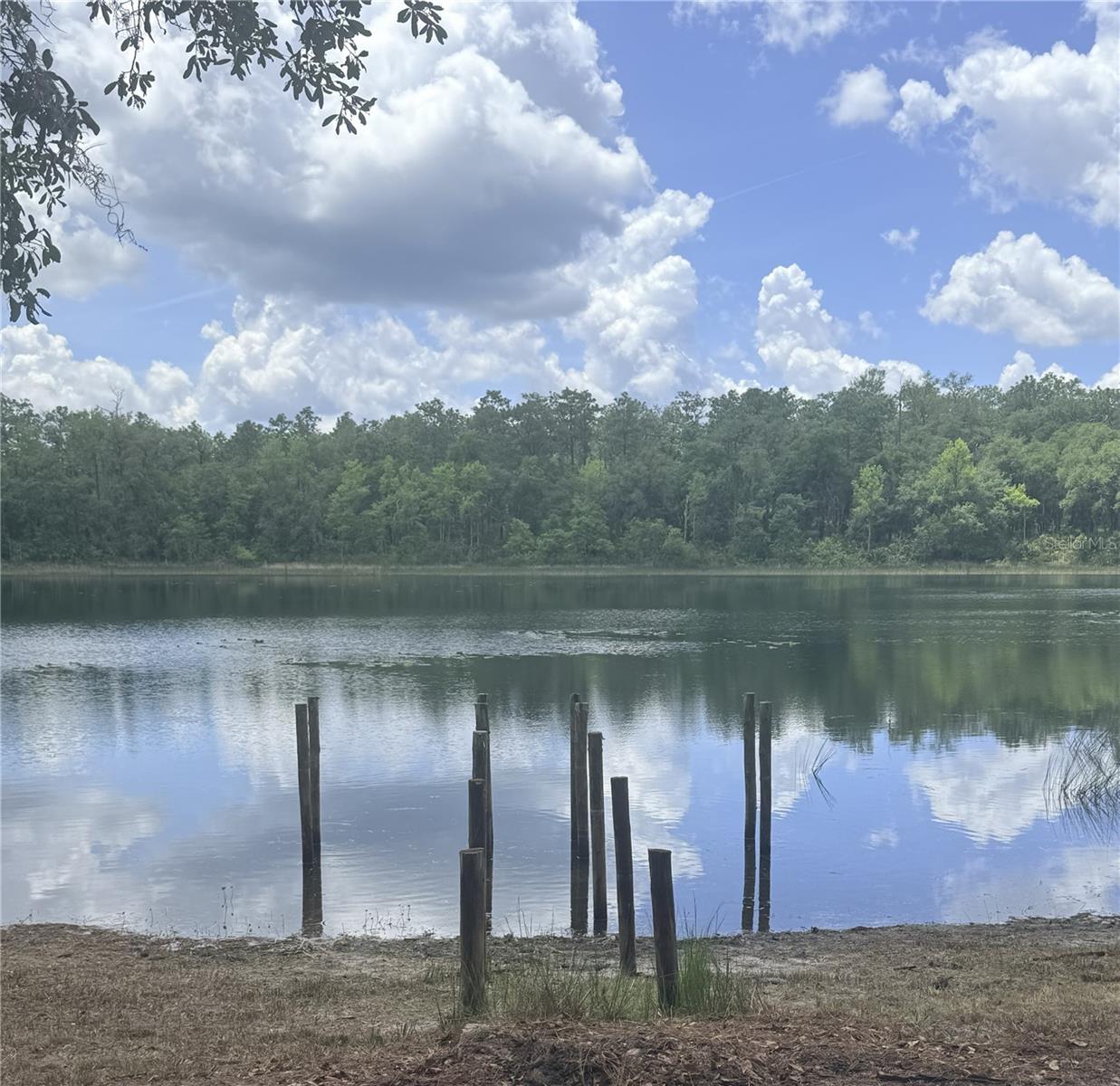 14730 SE 61ST STREET RD, OCKLAWAHA, FL — photo 6
