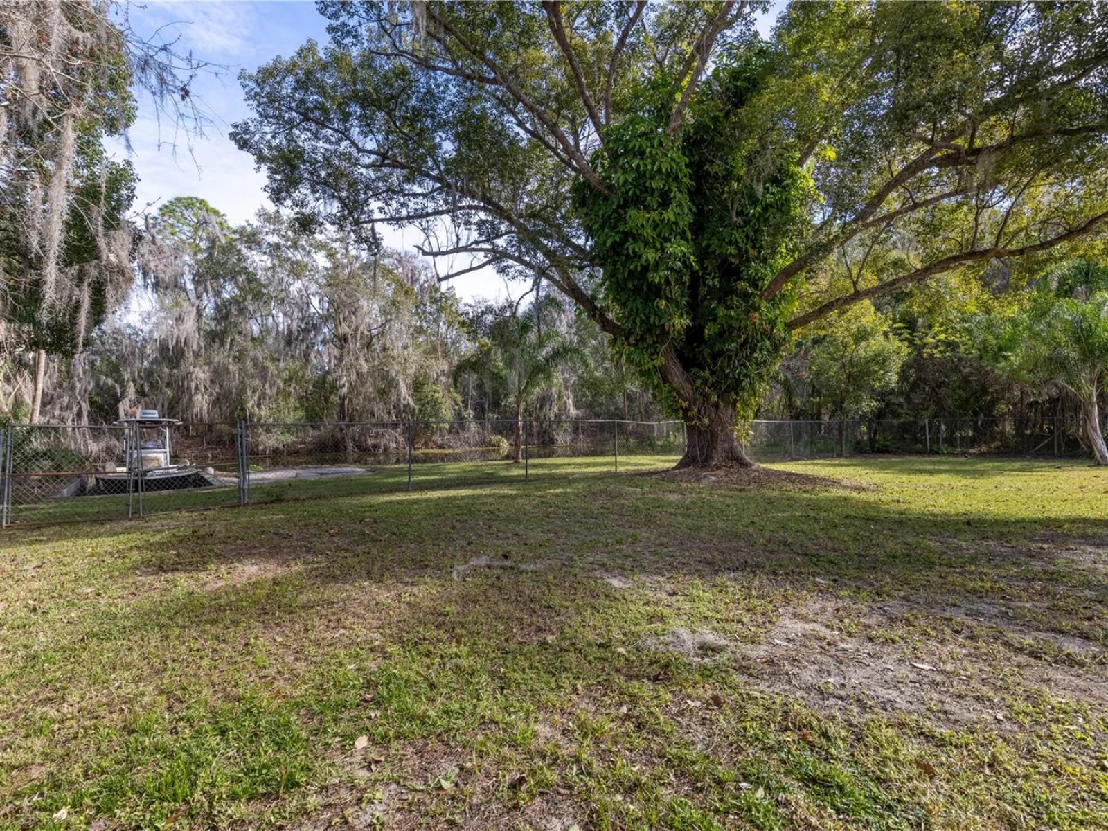 11807 OCKLAWAHA DR, LEESBURG, FL — photo 6