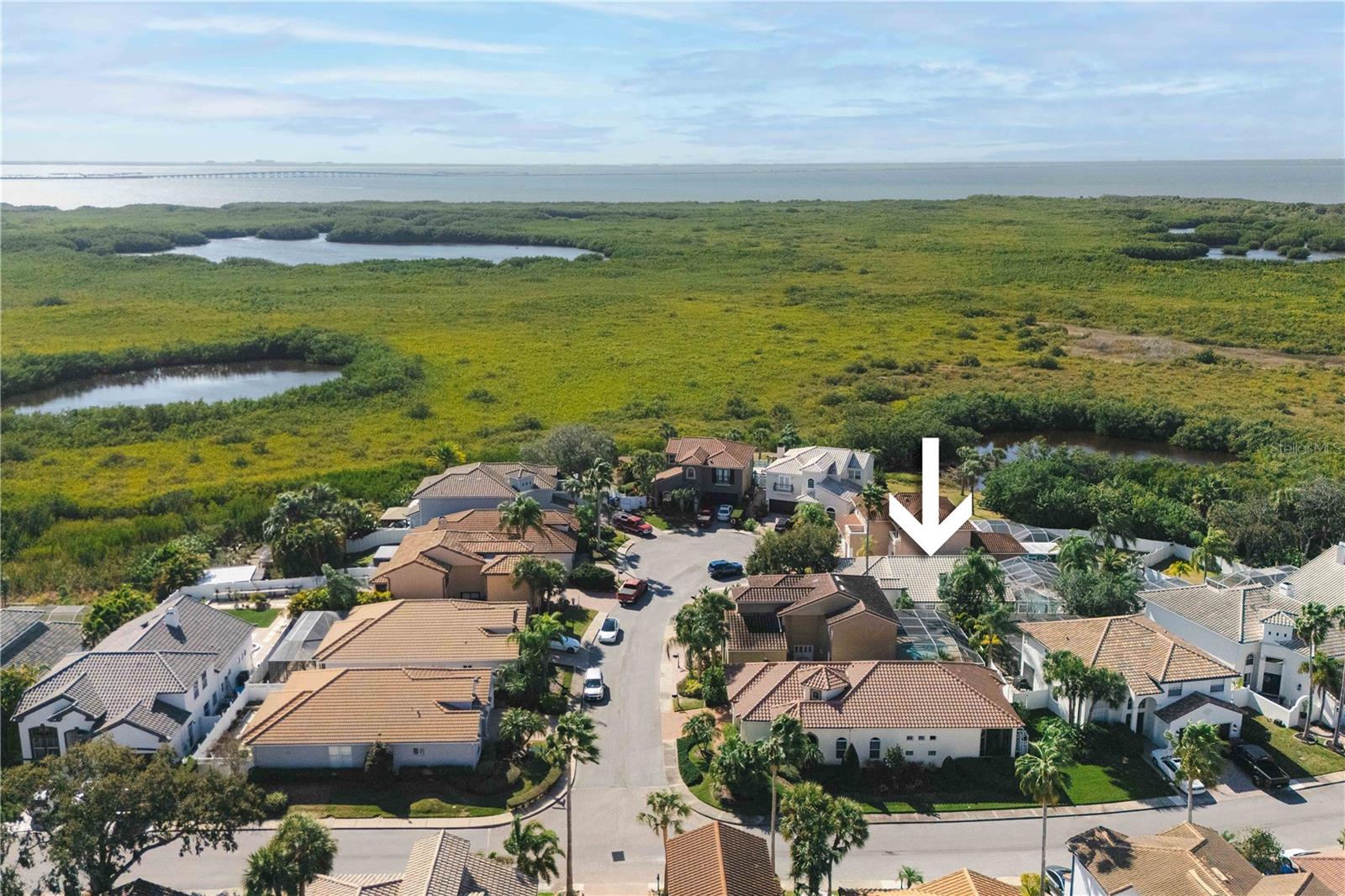 5806 CAY COVE CT, TAMPA, FL — photo 48