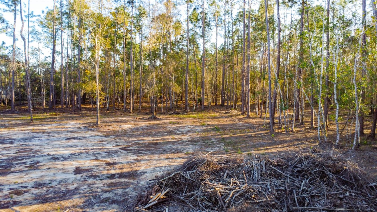 0 STATE ROAD 33, CLERMONT, FL — photo 20