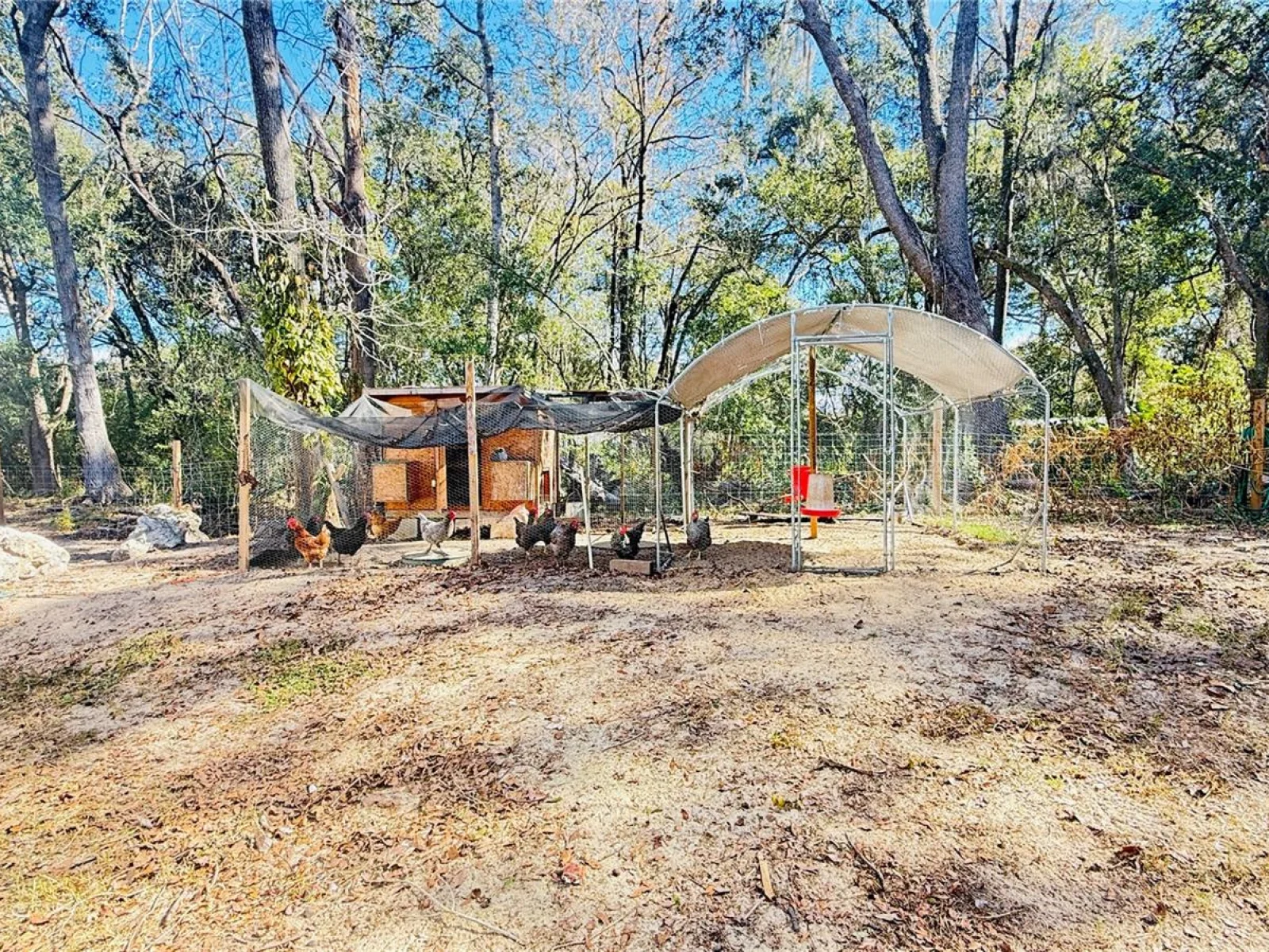 12992 SE 106TH CT, BELLEVIEW, FL — photo 13