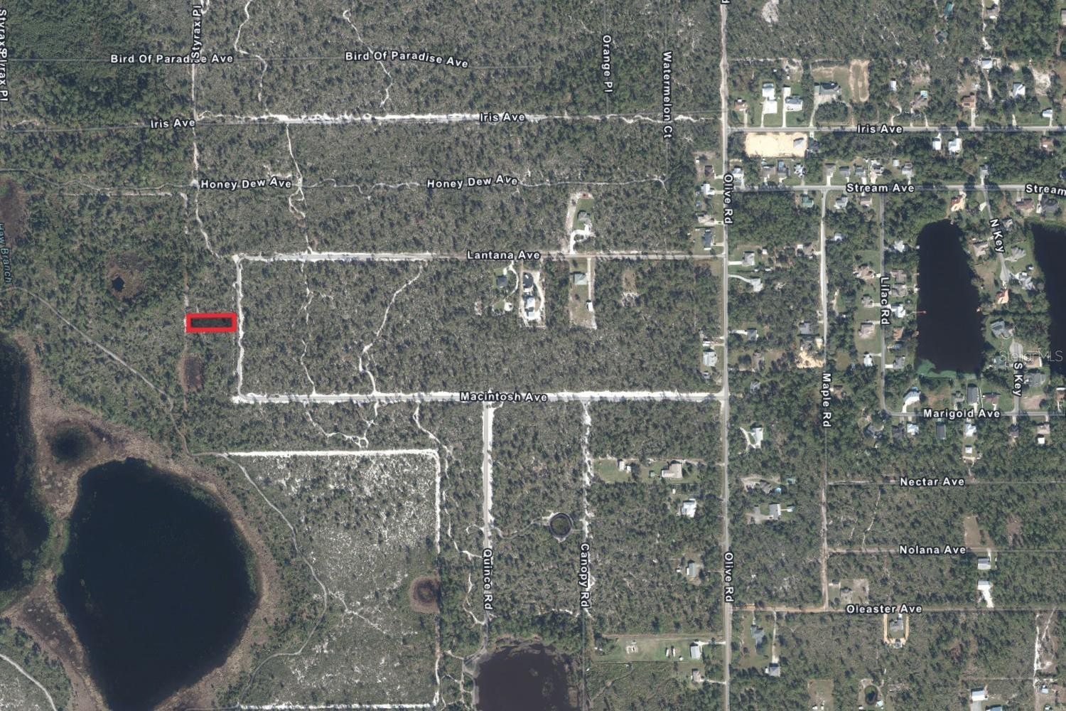 5717 N DELICIOUS RD, SEBRING, FL — photo 5
