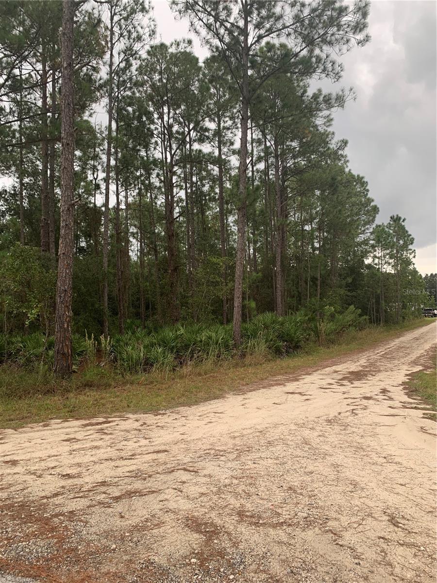 OIL WELL RD, CLERMONT, FL — photo 3